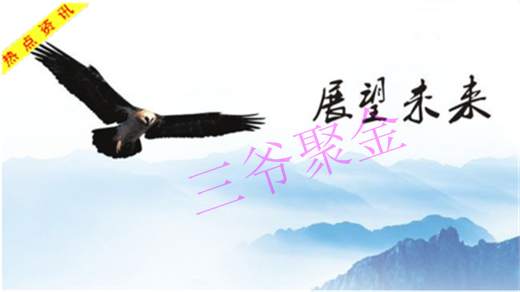 三爷聚金：12.6神秘机构为何萍萍砸盘致黄金跌于1260大关？