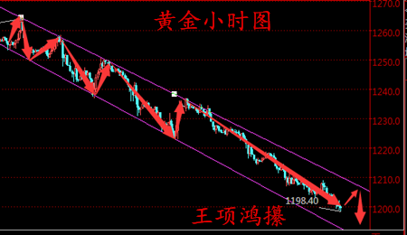 feed-image-0
