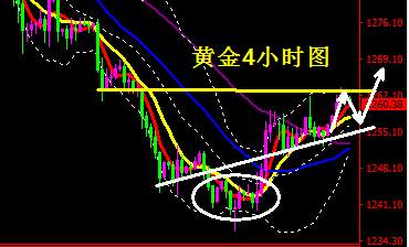 蒋妍琋：税改开启终极投票黄金多头最后一搏 原油上下颠簸还是跌