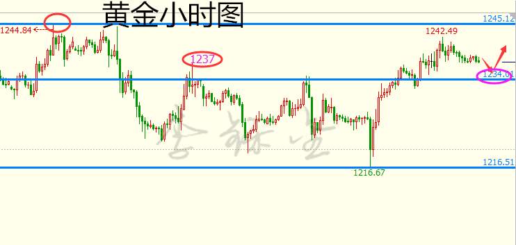 Followme看向,黄金,止损,建议,行情,级别