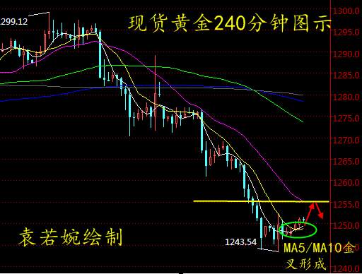 袁若婉：12.11现货黄金、创利丰操作、万豪金业操作建议