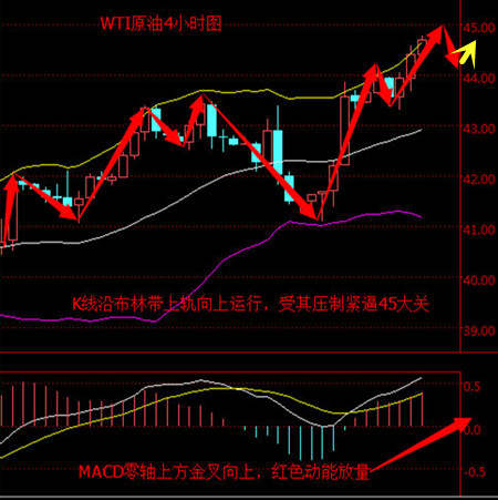张菀玥：8.14下周迎重磅联储会议，冻产PK过剩原油高点空？