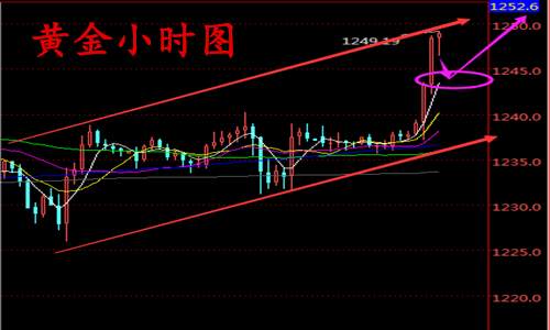 朱彘羽：2.24黑天鹅展翅之时，黄金或将迎来大涨之日！