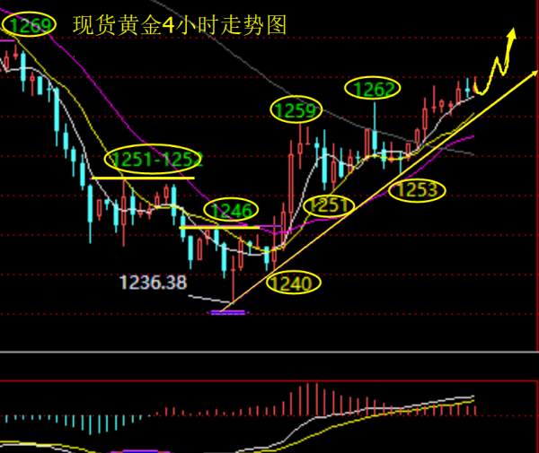 肖雷子：12.19晚盘不破1259继续多，你需要的是思路