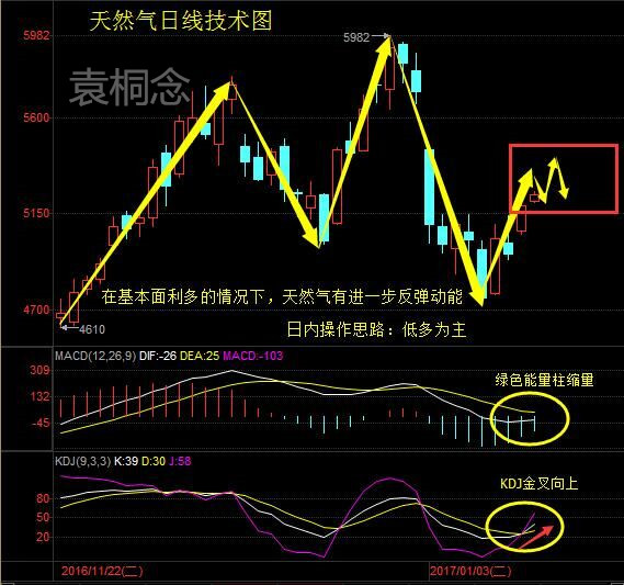 袁桐念：1.13原油暴涨美元遇阻谨防黑天鹅 原油天然气操作分析