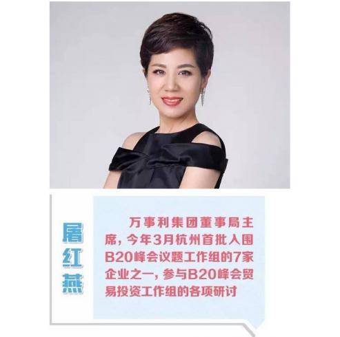 二十国集团工商界活动b20会议上大佬们都说了啥