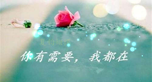 夏钧姗：反复亏损，从投资市场这个课堂你学到了什么？