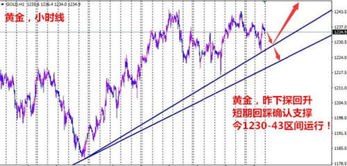 单晨金：2.23黄金走势如何还看特朗普！