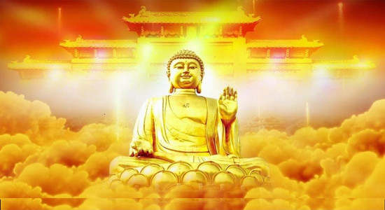 子龙霸金：12.2-12.3黄金.原油周五为何暴涨，行情走势解析附解套