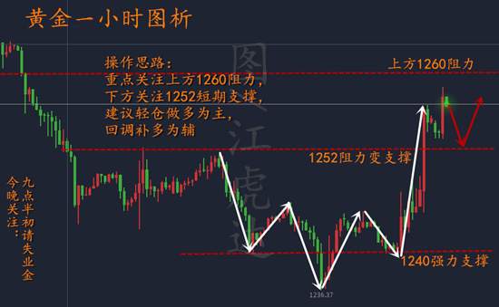 江虎达：12.14黄金晚间策略解析，附多单解套策略