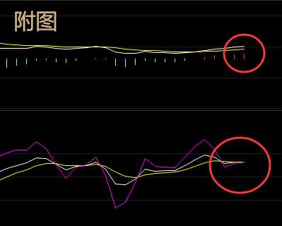 李薰琳：2.24早评 EIA库存小幅增加，现货原油白银操作建议