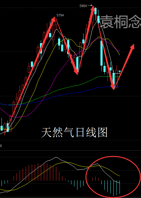 袁桐念：1.11奥巴马告别演讲 原油天然气怎么看