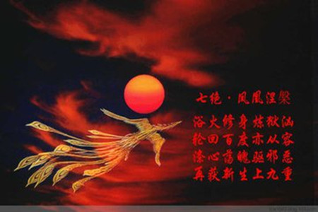 郑怀凡：2016年尘归尘土归土2017年金融凤凰涅槃展翅高飞