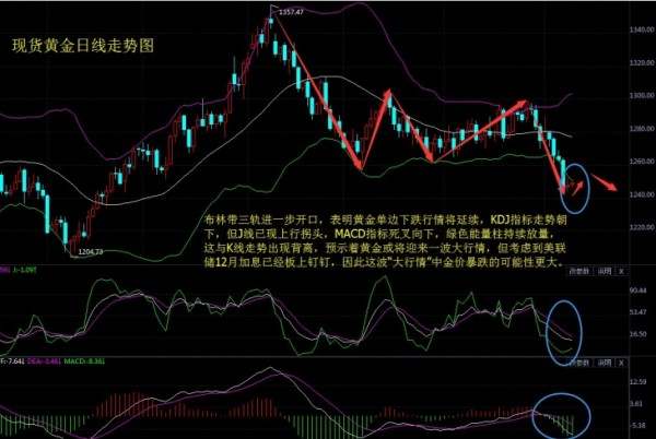 晗智投：12.11美联储加息黄金走势分析，精彩不容错过
