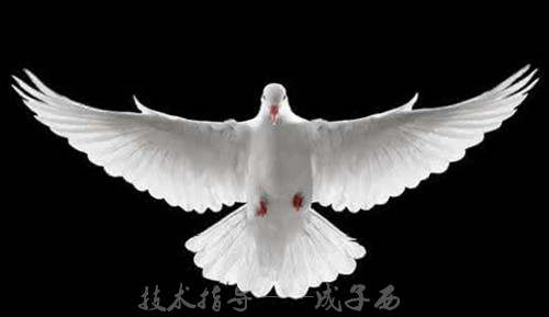 成子西：1.17加央行或加息 加元美元做多或做空？