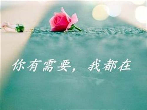 蒋栖梧：合理投资，稳健获利不是梦