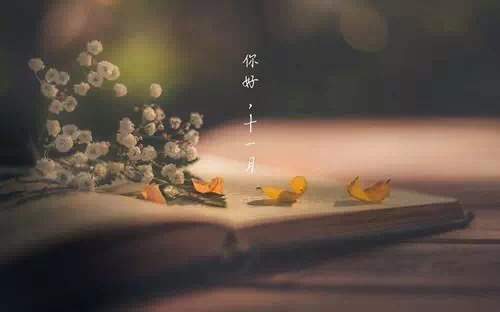 单晨金：需要是因为被信任，努力是因为有责任