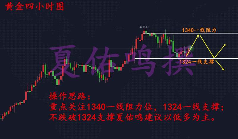 夏佑鸣：1.19黄金下午机构砸盘，伦敦金多头能否反击成功？