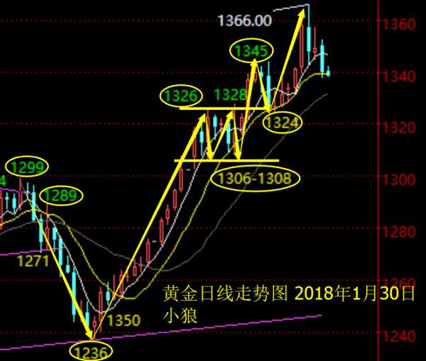 小狼：黄金这次是多头回调还是见顶反转？