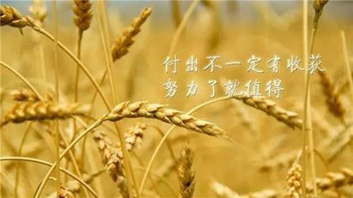 周亦鑫：K线图组合常见见底信号详解