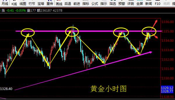 成子西：1.23美政恢复“营业”？黄金后市将如何？