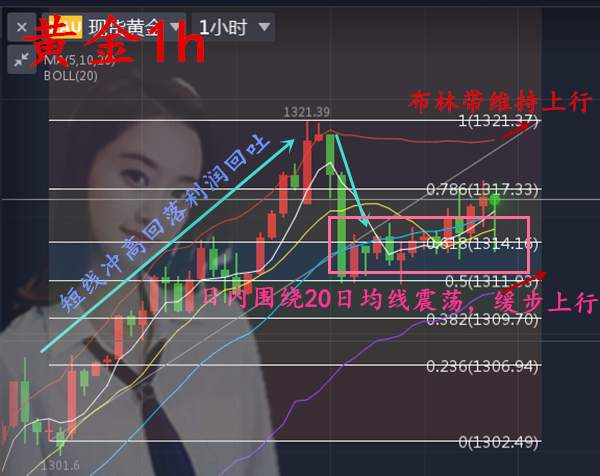 沈云伊:1.4黄金下跌10美金！回调还是诱空？