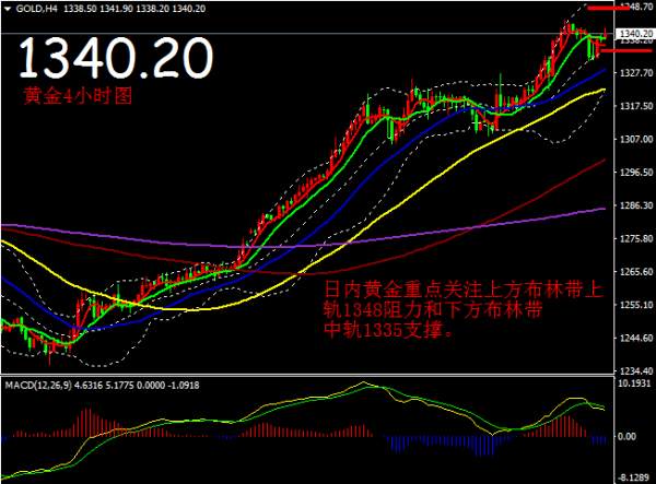 赵鑫胜：1-17今日金价上蹦下跳，多空之战如何演绎？