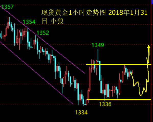 Followme概率,黄金,探底,不破,整理,支撑