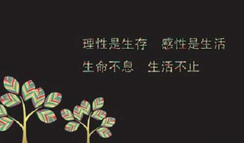 周亦鑫：全球债券惨遭抛售,黄金暴涨近20美元？