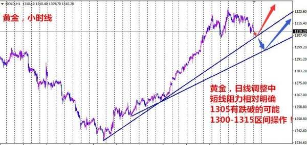 刘晖钰：1.10黄金利空不断，今日重点关注1316多空分水岭