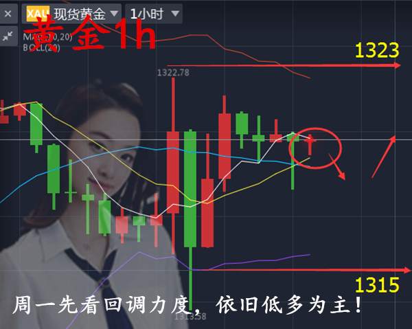 沈云伊:1.6为何非农利多黄金不涨？后市黄金还能上涨吗？