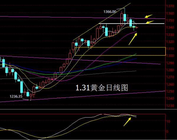 【老黑策略】1.31黄金操盘策略