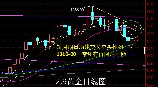 【老黑策略】2.9黄金操盘策略