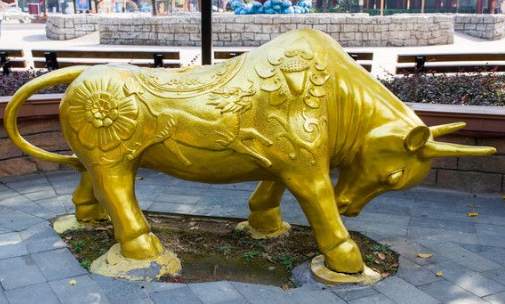 金晨羽：3月14日黄金市场趋势是涨是跌？3.14黄金如何操作？