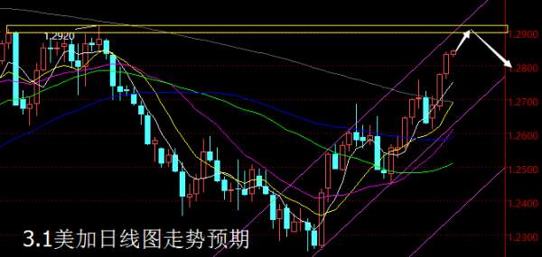 【老黑策略】3.1外汇操盘策略