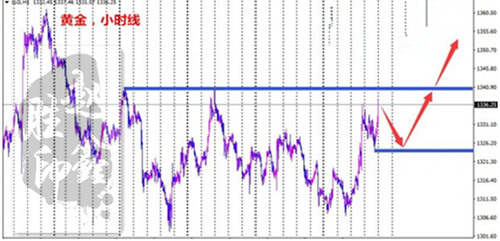 赵鑫胜：3-23早评多头崛起！加息引领黄金市场如何操作附解套