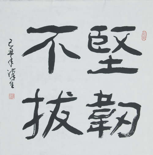 赵鑫胜：3-16美联储加息前空头预热，日线是否有望破位跌？
