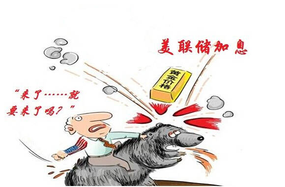 胡闻凯：3.22黄金加息决战一触即发，市场为何提前暴走