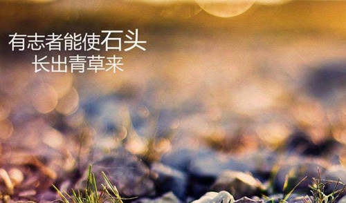 凌佳言：3.28当你单子被套的时候，必须掌握七大解套技巧