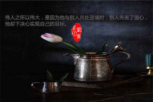 feed image