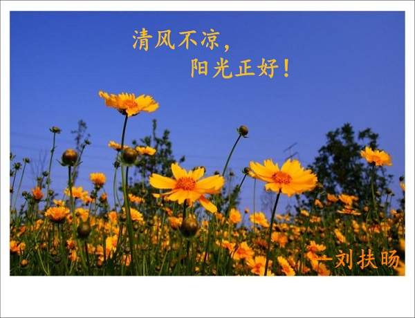 刘扶旸：3.20加息前黄金暴涨受阻回落？后市黄金操作建议