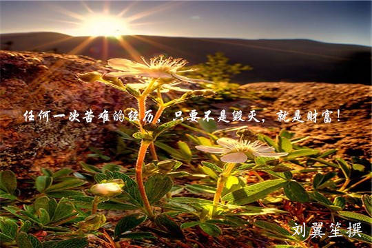 刘翼笙：3.12黄金触底回弹！东山再起还是最后的挣扎？