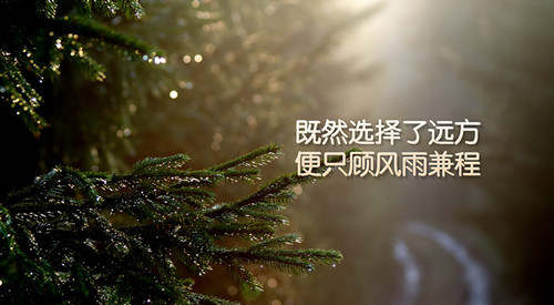 舒亦梵：4.16叙利亚遭精准打击，黄金走势却出乎意料？