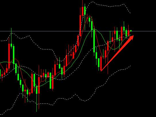 Followme黄金,止损,杨雯琦,回撤,美金,关键