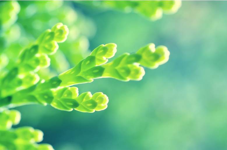 周欣盈：揭秘庄家操盘手法——助散户稳赚盈利