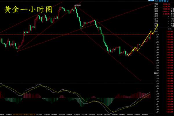 【谢疯子】4.2美指偏空走势，黄金走势进入关键点