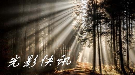 王乾品金：4.18美佬胡萝卜加大棒 金油市场震荡反复 日内走势分析