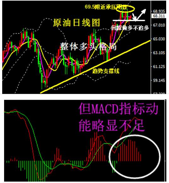 蒋妍琋：原油操作建议-原油看多不追多 耐心等待回踩跟进