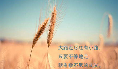 冉茗玉：4.11市场可能再次剧烈波动，黄金后市需谨慎观望？