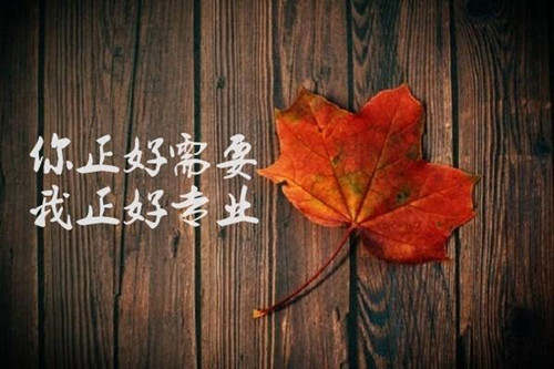 5.2黄金空头力量势如破竹，多单不走等爆仓！日赚1W如何布局？